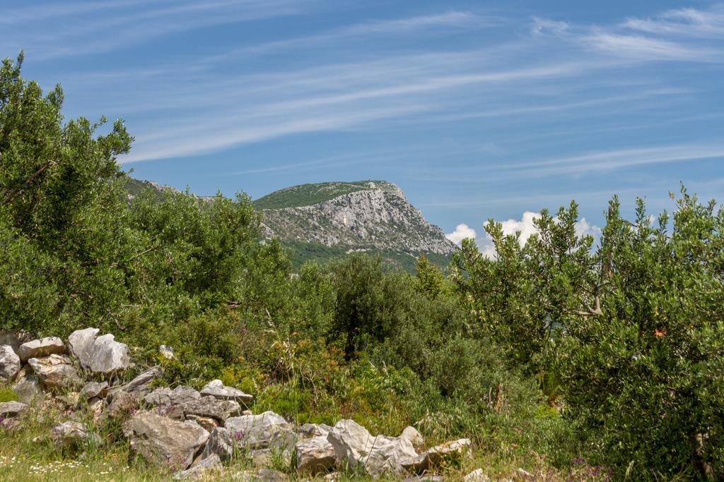 Panorama Holidays Kastel Stari Bagian luar foto